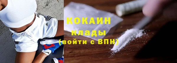 дживик Протвино