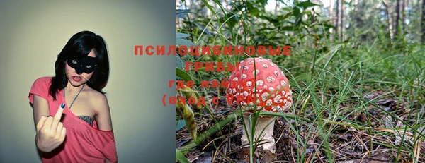 прущий лед Балахна