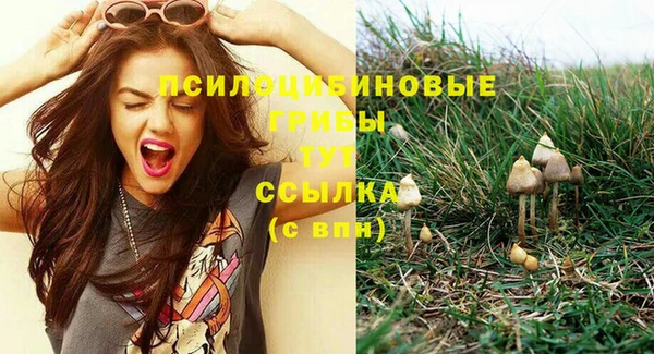 прущий лед Балахна