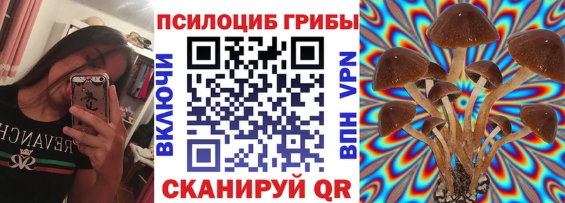 Псилоцибиновые грибы мицелий  omg ссылка  Топки 